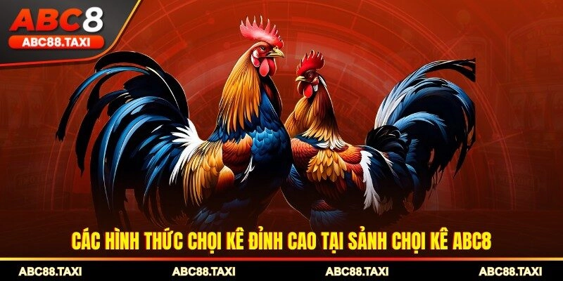 Các hình thức chọi kê đỉnh cao tại sảnh chọi kê ABC8