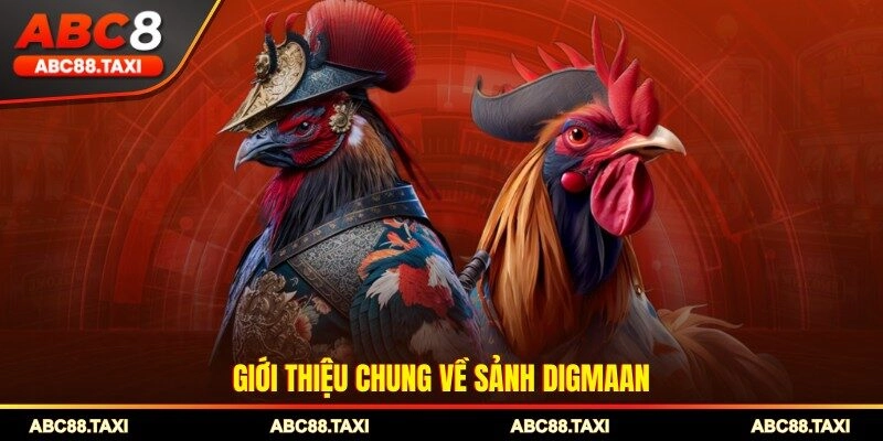 Giới thiệu chung về sảnh Digmaan